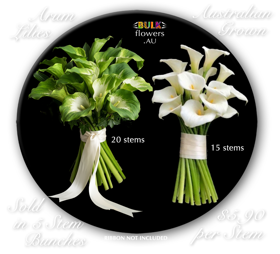 CALLA LILIES