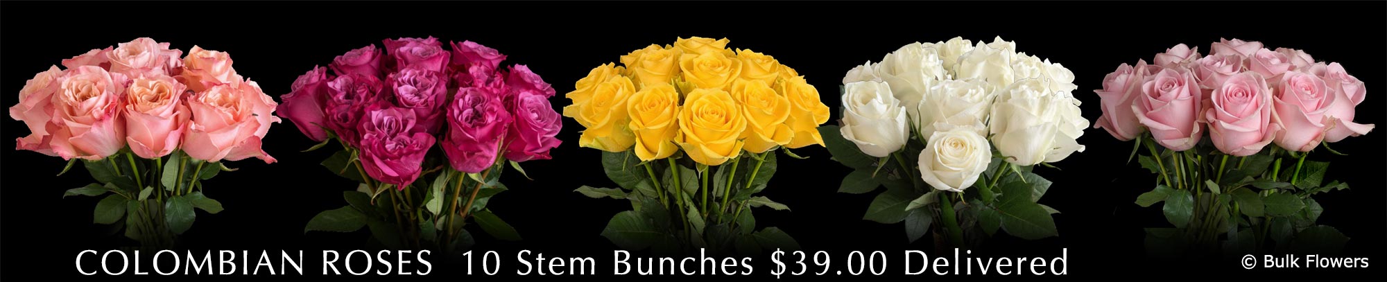 GYMPIE FLOWERS COLOMBIAN ROSES